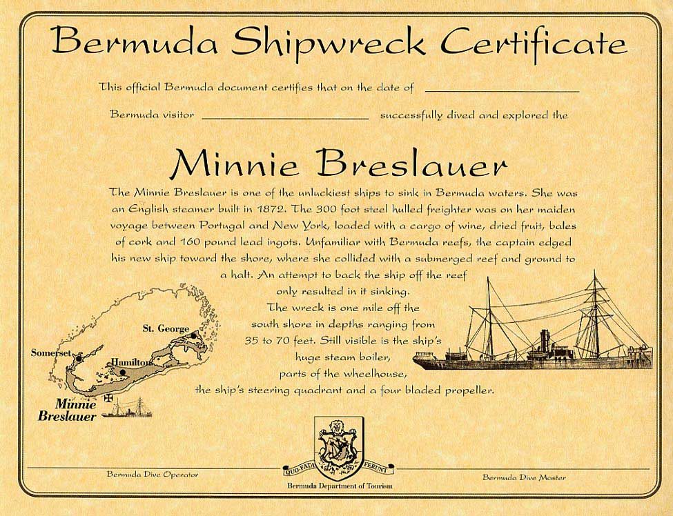 Minnie Breslauer